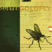 Goldfly - Guster lyrics