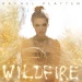 Wildfire - Rachel Platten lyrics