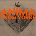 ANIMA - Thom Yorke lyrics