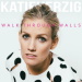 Walk Through Walls - Katie Herzig lyrics