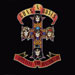Appetite for Destruction