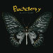 Black Butterfly